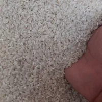 انواع برنج آستانه به شرط