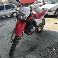 تریل برمودا ۲۵۰وارداتی