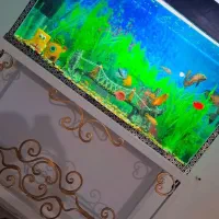 اکواریوم با وسایل