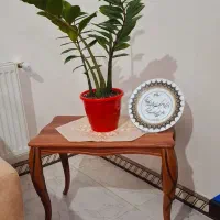 جلو مبلی و عسلی در حد نو|مبلمان خانگی و میز عسلی|رشت, کوی بیانی|دیوار