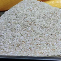 عنبربو کته پلویی برنج ایرانی