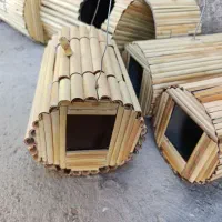 لونه. لانه پرنده بلبل قمری فنچ و مرغ عشق و ...