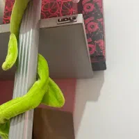 سرویس خاب آ‌پادانا