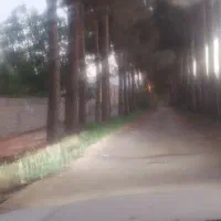 ویلادروشمندجان باغبادران یاباغبهادران باغ بهادران|فروش خانه و ویلا|اصفهان, نقش جهان|دیوار