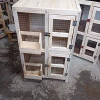 جفتزن کفتر و انواع قفس چوبی|لوازم جانبی حیوانات|مراغه, |دیوار