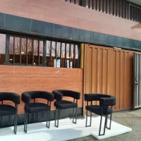 صندلی ژرنالی تدی در رنگ های متنوع