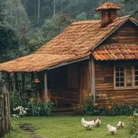 مسافرت شمال