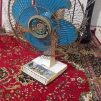 پنکه زمینی