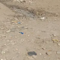 فروش یک قطعه زمین  مسکونی پشت تالار قصر سفید