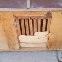 قفس پرنده