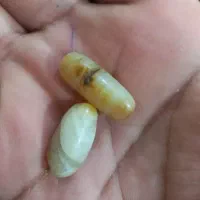 مهره