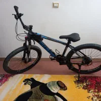 این دوچرخه دزدیده شده