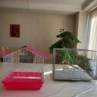 قفس پرنده|لوازم جانبی حیوانات|تهران, کوی بیمه|دیوار