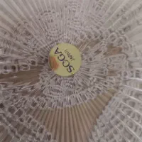 دیس سوگای ژاپن