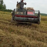 کمباین لوک استار ۲۰۱۸|ماشین‌آلات صنعتی|آستانه اشرفیه, |دیوار