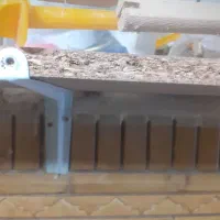 انواع لانه|پرنده|شیراز, شریفآباد|دیوار