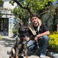 ژرمن شپرد تیپ مختلف (ژرمن مارکت)