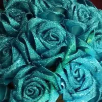 گل روبانی شاین دار شاخه ای ۲۰ تومن