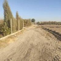 زمین-کشاورزی-مناسب-باغ-و-باغچه