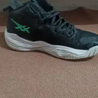 کفش والیبال