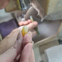 آموزش گوهر تراشی|خدمات آموزشی|تهران, فردوسی|دیوار