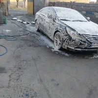 نیروی کاری کارواش