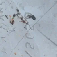 کپسول سی ان جی سالم ،تاریخ انقضا ۲۰۲۹