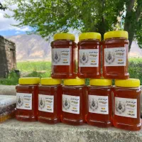 عسل زعفرانی|خوردنی و آشامیدنی|شیراز, فرگاز|دیوار
