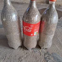 بذر کشاورزی و دارویی مخلوط