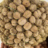 پوست کاغذی|خوردنی و آشامیدنی|زند, |دیوار