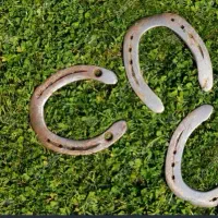 نعل اسب