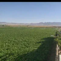 استخدام کارگر سرایدار