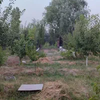 باغ و باغچه در قاسم اباد بزرگ خیابان ارکیده ۱۰|فروش خانه و ویلا|هشتگرد, قاسم آباد بزرگ|دیوار