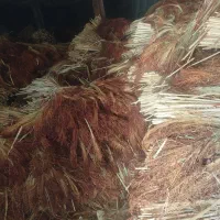 جارو قرمز وپاک شده