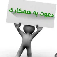 تسهیلگر و معاون اجرایی