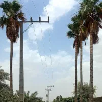 باغچه کوچه تکین