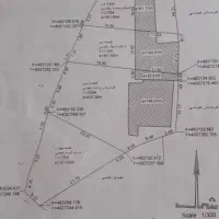 فرصت طالقان زمین ۳۰۰متر بزج داخل بافت بر جاده اصلی|فروش زمین و ملک کلنگی|طالقان, |دیوار
