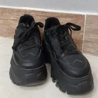 کفش کتونی سایر ۳۸