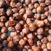 خرما گَنتار،کیلویی ۱۲۰۰۰۰ تومان
