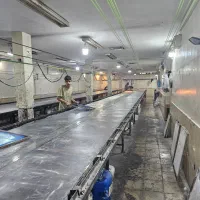 شابلون زن ماهر جهت چاپ سول