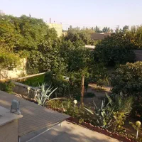 باغچه 1352متر پیشوا
