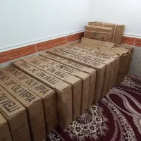 دوچرخه نو ویوا