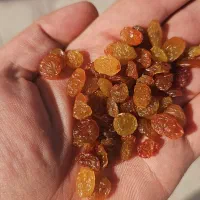 کشمش پلویی خرده یا عمده