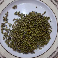 ماش عمده لوبیا چیتی برنج چمپا