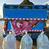 انواع کود سیاه پوسیده حیوانی و خاک باغچه درجه یک