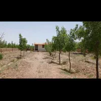باغ ویلا