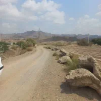 فروش ۲ هکتار زمین کشاورزی با چاه آب نزدیک خیابان|فروش دفتر صنعتی، کشاورزی، تجاری|میناب, |دیوار