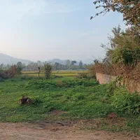 زمین ۷۰۵ متری درگیلان|فروش زمین و ملک کلنگی|ماکلوان, |دیوار