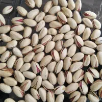 پسته|خوردنی و آشامیدنی|شیراز, آزادی|دیوار