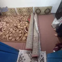 فرش و قالی|فرش|چالوس, |دیوار